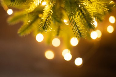 Noel tebrik kartı, içinde köknar ağacı dalları ve bokeh ışıkları var. Kopyalama alanı olan pankart tasarımı