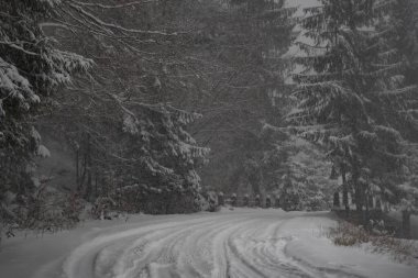 Dağlık bir ormanda karlı kış yolu. Güzel kış manzarası.