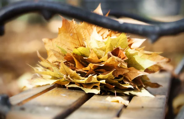 Panca in legno nel parco autunnale — Foto Stock