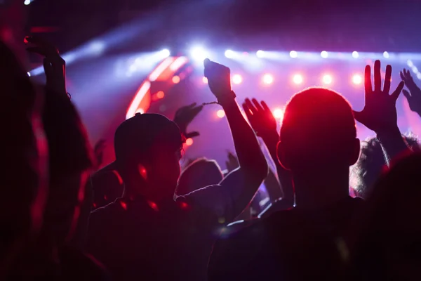 Crowd at concert