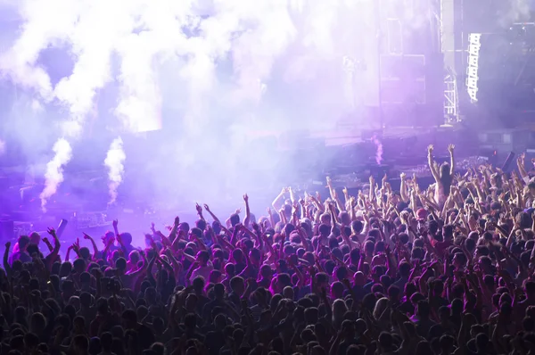 Crowd at concert — Stock Photo, Image