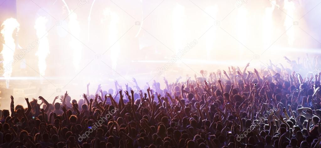 Crowd at concert