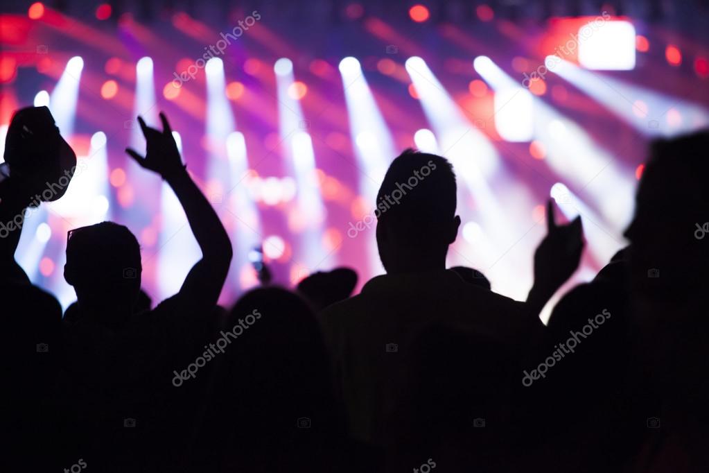 Crowd at concert