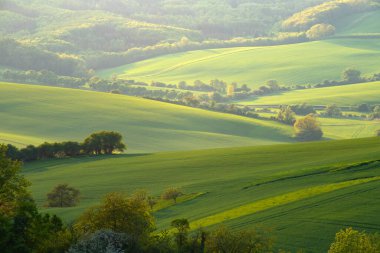 Güney Moravya 'nın yeşil dalgalı tepeleriyle İlkbahar kırsal manzarası, Çek republi