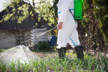 Bahçeye bitki ilacı, böcek ilacı ya da böcek ilacı sıkan beyaz koruyucu kostümlü bir çiftçi..
