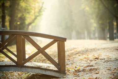 Sonbahar parkında ahşap köprü