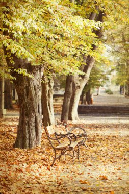 Sonbahar Park Vintage Fotoğraf