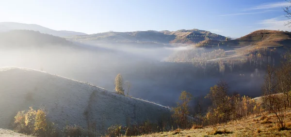 山の中の霧の朝 — ストック写真