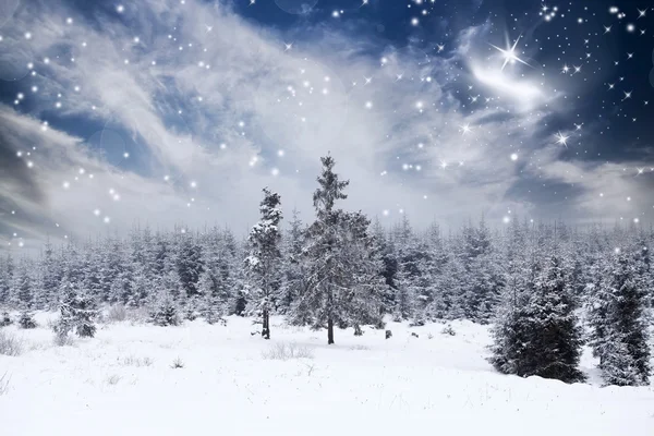 Kerst achtergrond met besneeuwde dennenbomen — Stockfoto