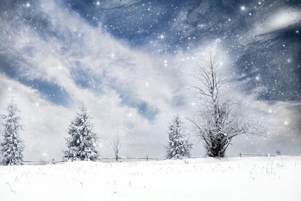 Weihnachten Hintergrund mit schneebedeckten Tannen — Stockfoto