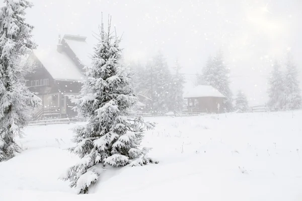 Weihnachten Hintergrund mit schneebedeckten Tannen — Stockfoto