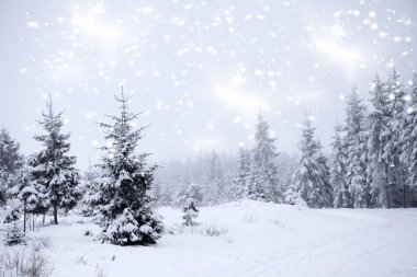 Muhteşem kış manzarası