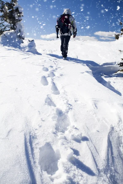 Hiker in the mountains — Stock Photo, Image