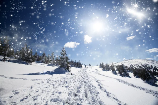 Tepe üzerinde karlı yol — Stok fotoğraf