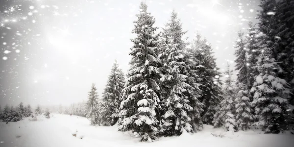 冬季景观-针叶林降雪 — 图库照片