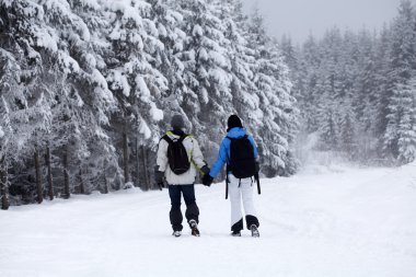 Karla kaplı yolda yürüme Çift