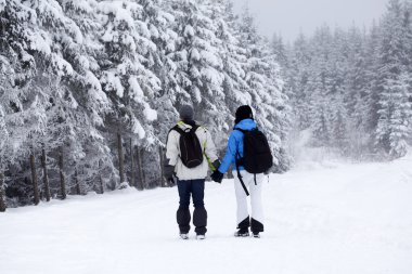 Karla kaplı yolda yürüme Çift