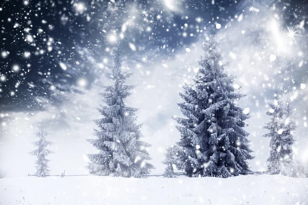 Fundo de Natal com abetos nevados — Fotografia de Stock