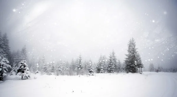 Winter landscape with snowy fir trees — Stock Photo, Image