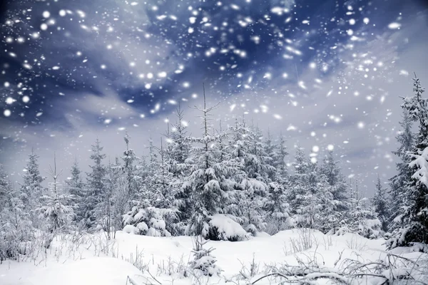 Christmas background with snowy fir trees — Stock Photo, Image