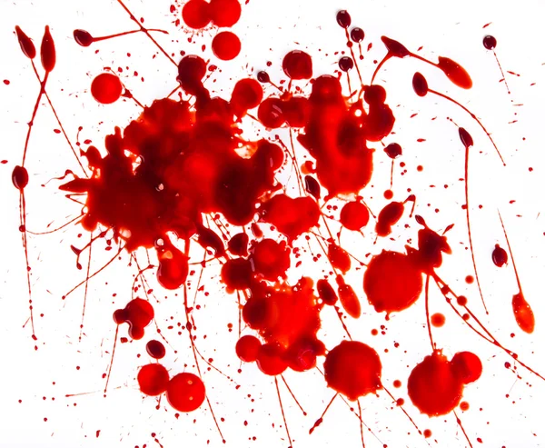 Manchas de sangre salpicadas sobre fondo blanco — Foto de Stock