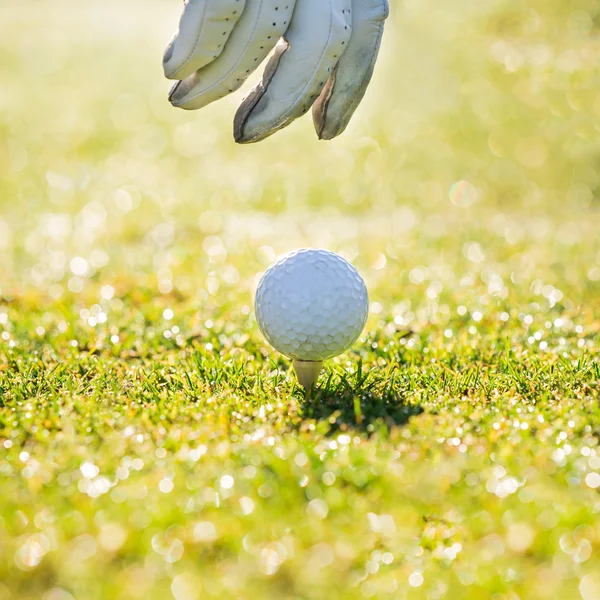 Close-up de bola de golfe . — Fotografia de Stock