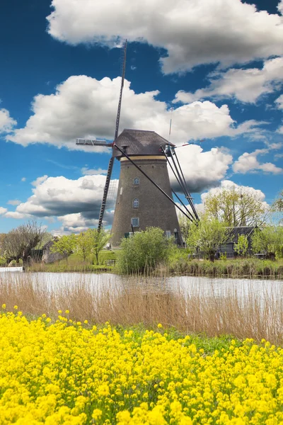 Mulino a vento con campo di tulipani in Olanda — Foto Stock