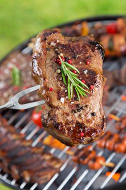 Barbekü ızgara et çeşitli türleri ile.