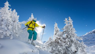 Freeride taze toz karda.