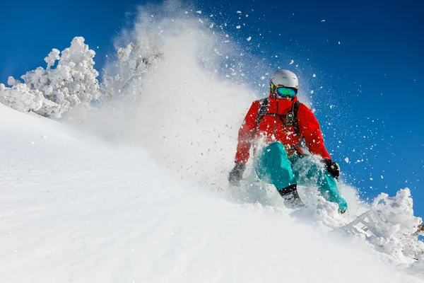 自由式滑雪在新鲜粉雪. — 图库照片