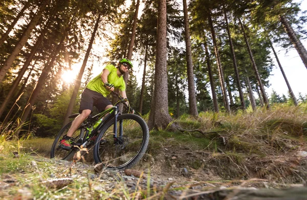 Jinete en acción en bicicleta de montaña — Foto de Stock