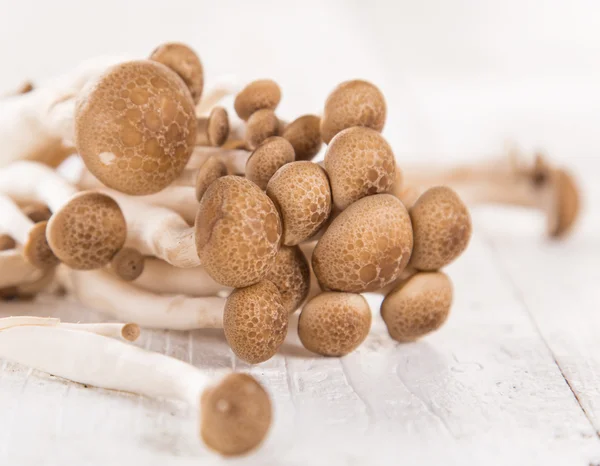 棕色的山毛榉蘑菇白色木制背景上. — 图库照片