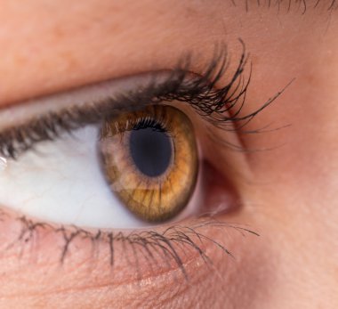 Uzun kirpikli kadın gözü.
