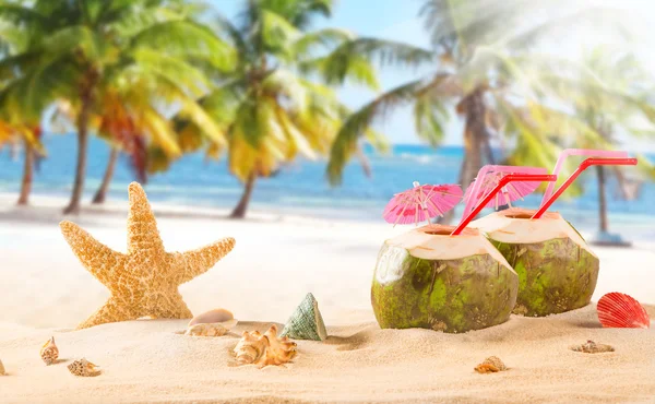 Sommer-Kokosnuss-Cocktail am tropischen Strand. — Stockfoto