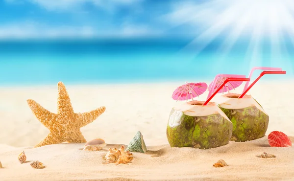 Sommer-Kokosnuss-Cocktail am tropischen Strand. — Stockfoto