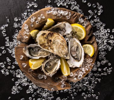 Siyah bir taş üzerinde taze istiridye