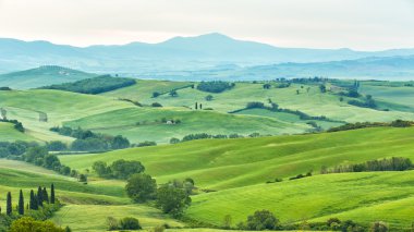Manzara Tuscany, tepeler ve çayırlar, Toscana - İtalya