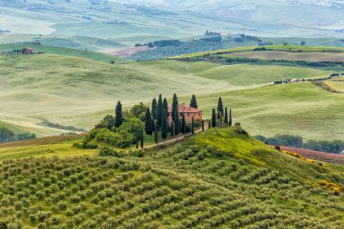 Manzara Tuscany, tepeler ve çayırlar, Toscana - İtalya