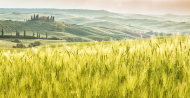 Manzara Tuscany, tepeler ve çayırlar, Toscana - İtalya