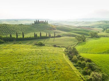 Manzara Tuscany, tepeler ve çayırlar, Toscana - İtalya