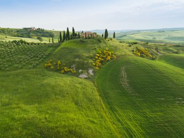 Manzara Tuscany, tepeler ve çayırlar, Toscana - İtalya