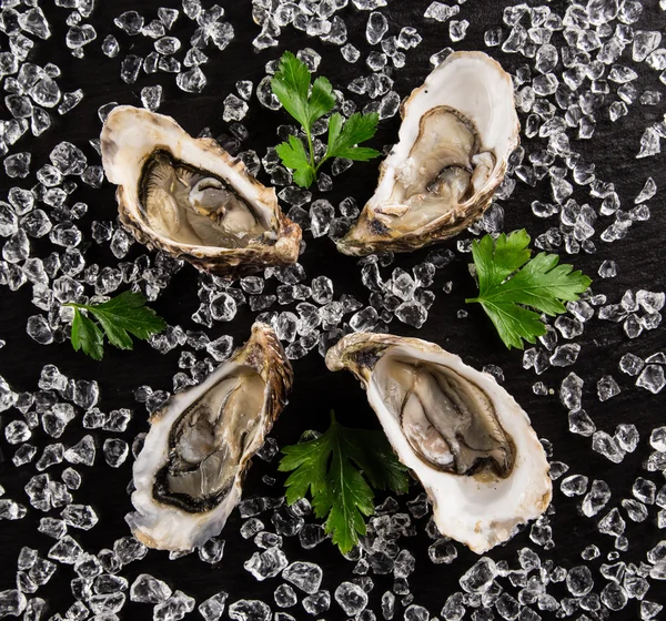 Verse oesters op een zwarte steen — Stockfoto