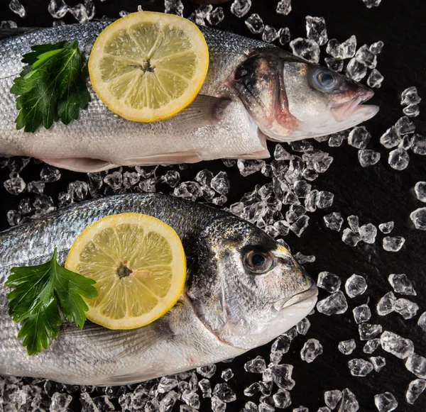 Fresh seafood on black stone. — Stock Photo, Image