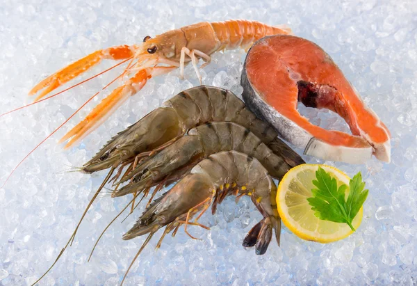 Fresh seafood on crushed ice. — Stock Photo, Image