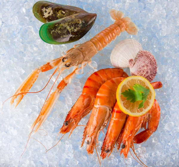 Fresh seafood on crushed ice. — Stock Photo, Image