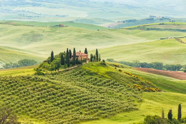 Landschaft der Toskana, Hügel und Wiesen, Toskana - Italien — Stockfoto