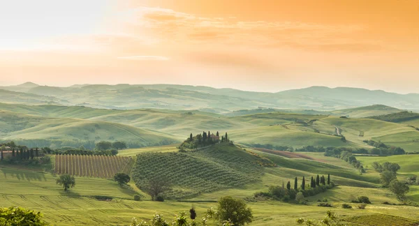 Krajobraz Toskanii, wzgórzami i łąkami, Toskania - Włochy — Zdjęcie stockowe