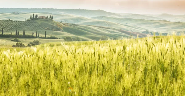 Paisagem da Toscana, colinas e prados, Toscana - Itália — Fotografia de Stock