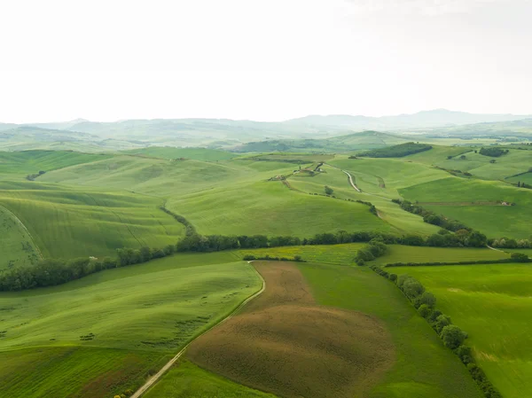 Paesaggio della Toscana, colline e prati, Toscana — Foto Stock