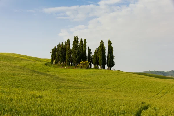 Paisaje de Toscana, colinas y prados, Toscana - Italia — Foto de Stock